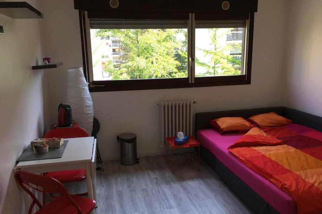 Apartamento Studio Proche Du Lac-Triangle D'Or Annecy Exterior foto